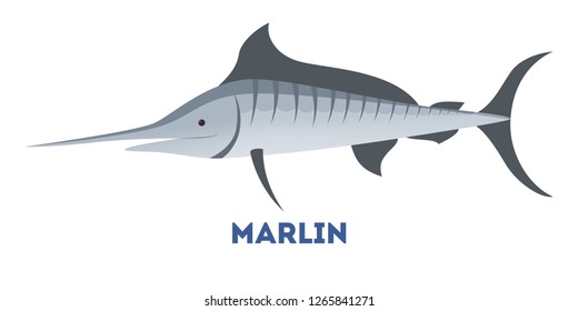 Marlin fish of blue color from sea. Swordfish creature from aquatic life. Flat vector illustration