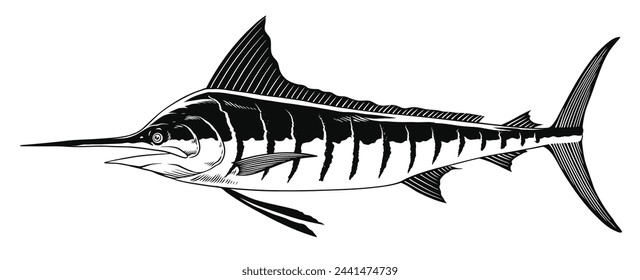 Marlin Fish Hand Drawn Illustration in Black and White