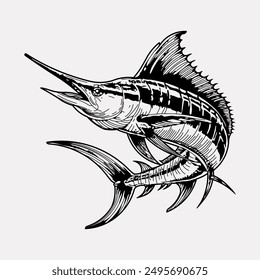 Marlin fish hand drawn vintage illustration