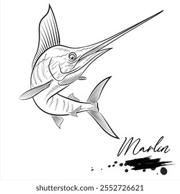 Marlin Fisch, Salzwasserfisch Tier realistische Skizze, Vektorgrafik