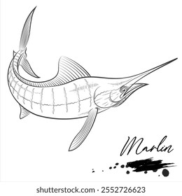 Marlin Fisch, Salzwasserfisch Tier realistische Skizze, Vektorgrafik