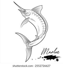 Marlin Fisch, Salzwasserfisch Tier realistische Skizze, Vektorgrafik