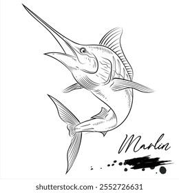 Marlin Fisch, Salzwasserfisch Tier realistische Skizze, Vektorgrafik