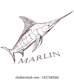 Marlin fish sword black and white hand drawn illustration