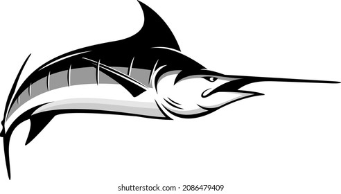 marlin fish vector for fishing logo company