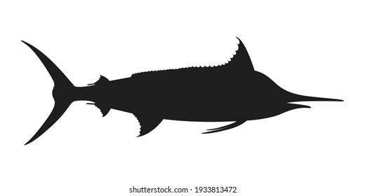Marlin sea fish graphic icon. Sign blue marlin isolated on white background. Vector illustration