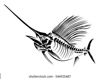 Marlin Skeleth Vector Illustration. Sail Fish Isolated On White