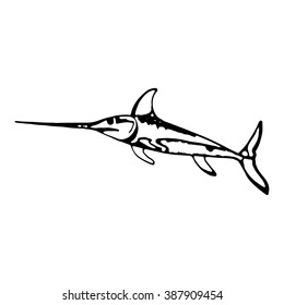 marlin sword fish sketch