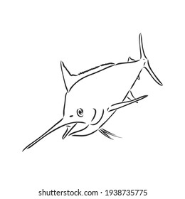 Marlin, swordfish zentangle stylized, vector, illustration, freehand pencil, hand drawn, pattern.