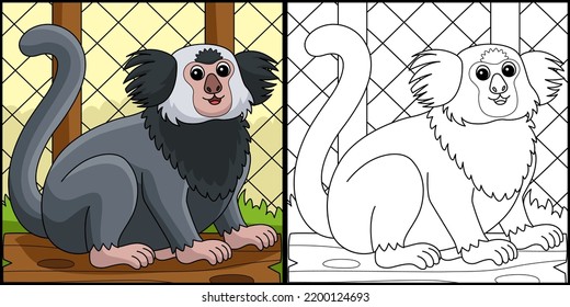 Marmoset Animal Coloring Page Colored Illustration