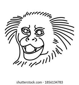 Marmoset Icon. Tropical Animal Hand Drawn Icon Set Vector.