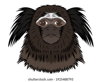 Marmoset Monkey Black Tufted Cartoon Illustration