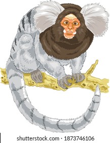 Marmoset Monkey cartoon illustration sitting on tree trunk