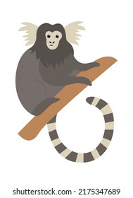 Marmoset monkey Exotic Animal. Vector illustration