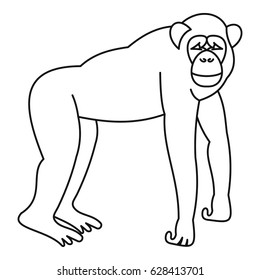 Marmoset monkey icon in outline style isolated on white background vector illustration