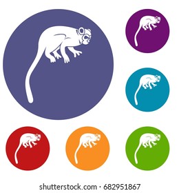 Marmoset monkey icons set in flat circle red, blue and green color for web