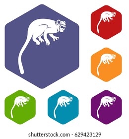 Marmoset monkey icons set hexagon isolated vector illustration