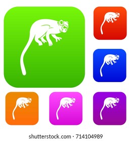 Marmoset monkey set icon color in flat style isolated on white. Collection sings vector illustration