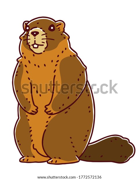 Marmot Colored Vector Line Art Illustration Stock Vector Royalty Free