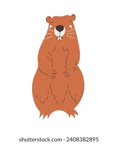 Marmot. Cute wild animal. Brown groundhog. Flat vector illustration of a groundhog isolated on a white background.