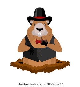 Marmot in hat and with pipe. Rodent aristocrat. Illustration for Groundhog Day holiday
