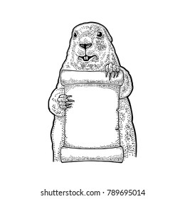 Marmot holding poster. Engraving vintage vector black illustration. Isolated on white background. Hand drawn design element for greeting card Happy Groundhog Day