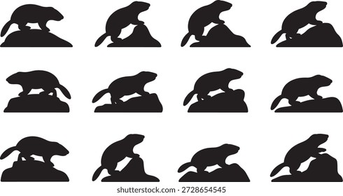 Silhuetas de marmota em diferentes poses e ações sobre rochas, mostrando seu comportamento natural e habitat.