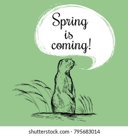 Marmot sketch vector illustration. Spring is coming. Groundhog Day