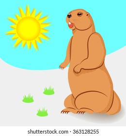 Marmot and the sun.