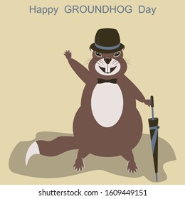 Marmot in a tuxedo with an umbrella, greets everyone - illustration, vector. Life of animals. Happy Groundhog Day.