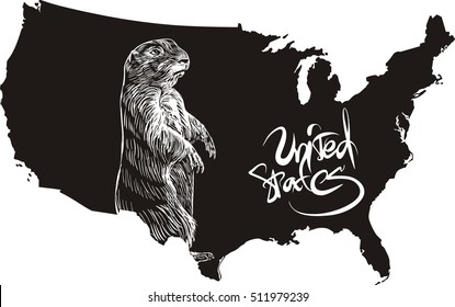 Marmot and U.S. outline map. Black and white vector illustration.