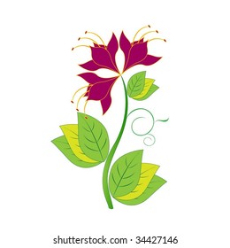 maroon flower