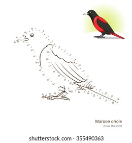 Maroon oriole learn birds educational game learn to draw vector illustration