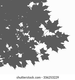 Marple leaves vector silhouette