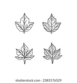 marples set hand drawn on white background vector illustration. autumn.