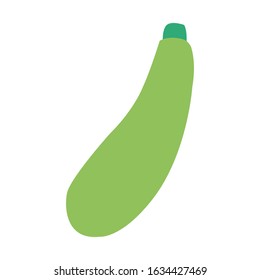 Marrow vegetables vector illustration isolated on a white background
