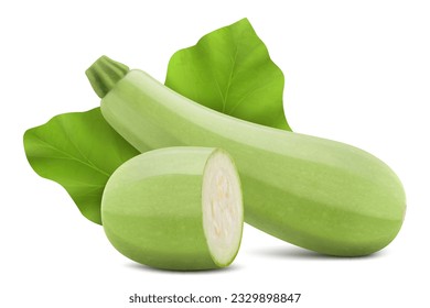 Marrow or zucchini with slices isolated on white background. Whole and chopped vegetable. Realistic 3d vector illustration. Clipping path and full depth of field.