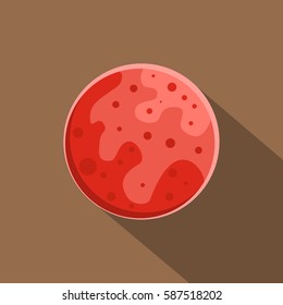 Mars icon. Flat illustration of mars vector icon for web