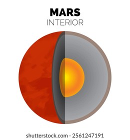 Mars Interior or Layers of the Planet Mars with Core, Rocky Mantle and Solid Crust Isolated Illustration