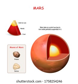 Mars internal structure. cross section of planet from core to mantle and crust. Deimos and Phobos - two Moons of Mars. Solar system. infographics. vector diagram. Easy to edit