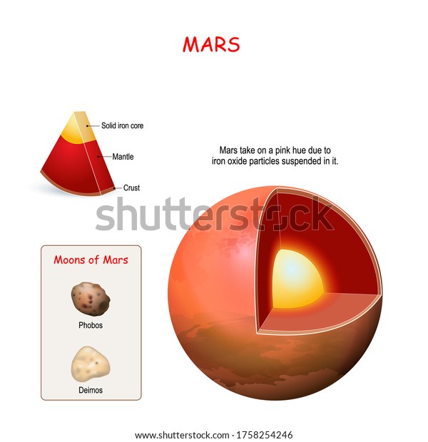 Mars Internal Structure Cross Section Planet Stock Vector (Royalty Free ...
