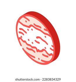 mars planet isometric icon vector. mars planet sign. isolated symbol illustration