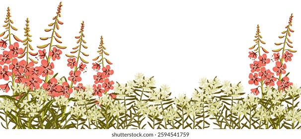 marsh Labrador tea and willowherb, field flowers, vector drawing wild plants at white background, floral elements, hand drawn botanical illustration