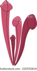 Marsh Pitcher Pflanzliche Fleischfresser-Pflanze, Vektorgrafik auf isoliertem weißem Hintergrund