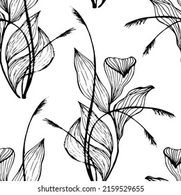 Marsh plant reed sedge black   white seamless pattern vector graphic design  Big marsh plant leaves   thin reed twigs  Leaves and streaks  sedge spikelets