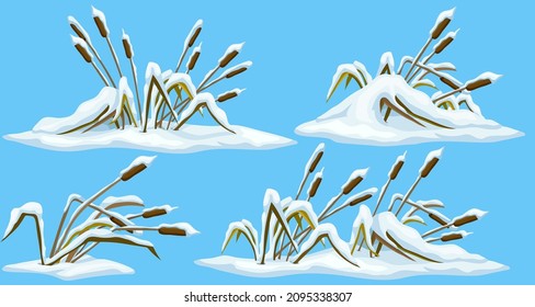 Marsh reed, grass under snow. Swamp cattails winter. Broken weed and snowdrifts. Set of vector bulrush for computer games isolated on blue background. 