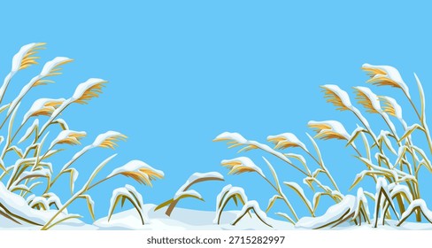 Marsh reed, grass under snow. Swamp cattails winter. Broken weed and snowdrifts. Vector winter background bulrush for design, printing, computer games.