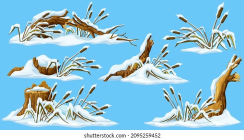 Marsh reed, stump, grass under snow. Swamp cattails winter. Broken tree, weed and snowdrifts. Vector bulrush, trunk for computer games isolated on blue background.