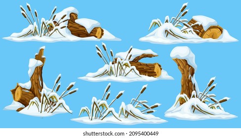 Marsh reed, stump, grass under snow. Swamp cattails winter. Broken tree, weed and snowdrifts. Vector bulrush, trunk for computer games isolated on blue background.