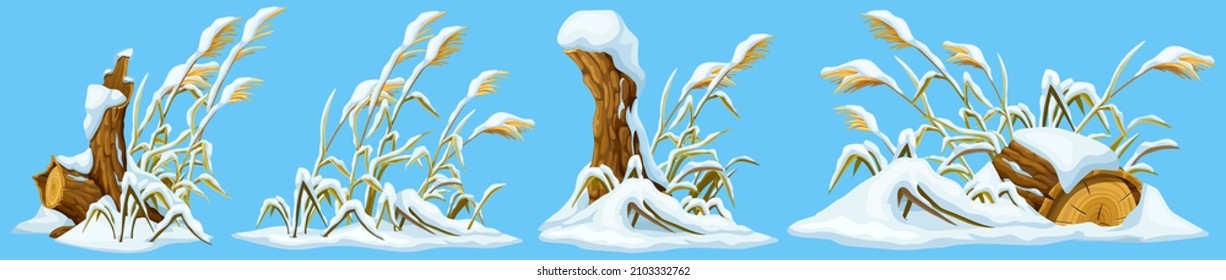 Marsh reed, stump, grass under snow. Swamp cattails winter. Broken tree, weed and snowdrifts. Vector bulrush, trunk for computer games isolated on blue background.